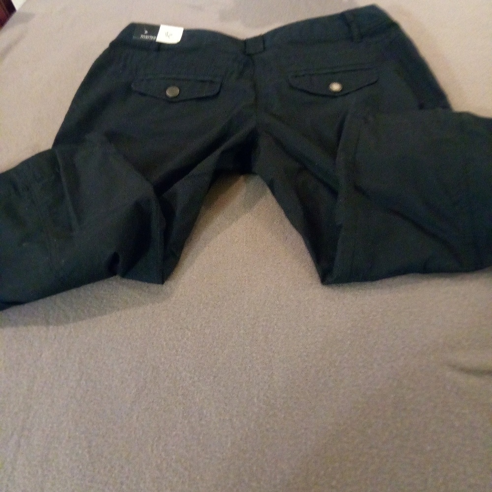 Loft Capris pants.